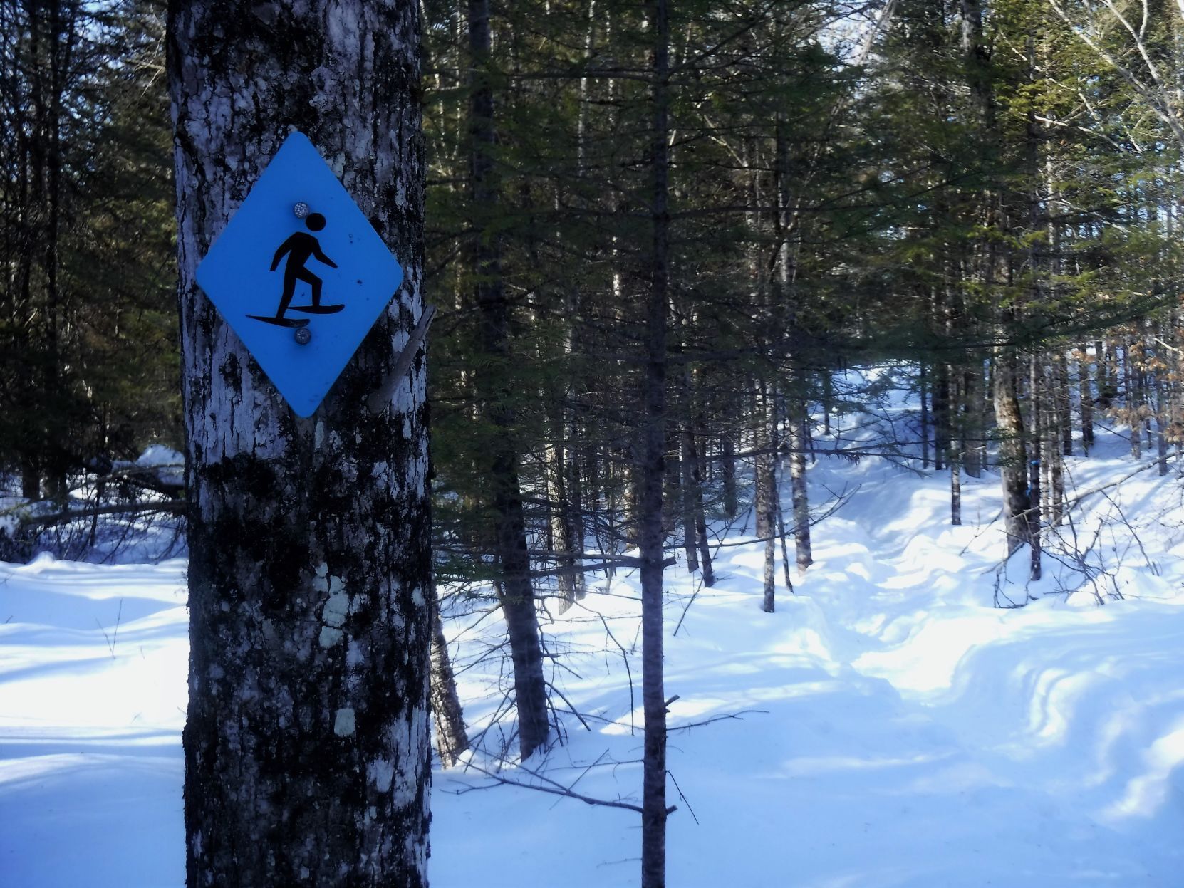 Follow the signs